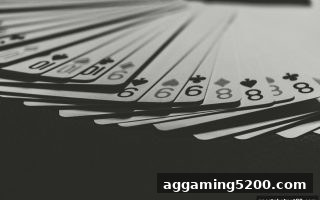 双人对战桌游全攻略：从经典棋类到体育投注网站的即时竞技乐趣