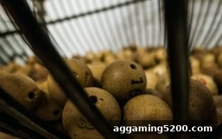 万人推牌九与极速赛车实战指南：体育投注网站RICH88带你解锁概率与策略的奥秘