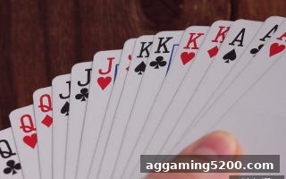 体育投注网站牌九实战指南：规则解析与动态策略进阶