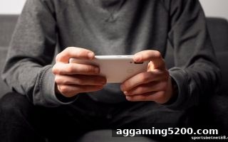 捕鱼游戏赛果统计全解析：体育投注网站玩家的风险控制手册